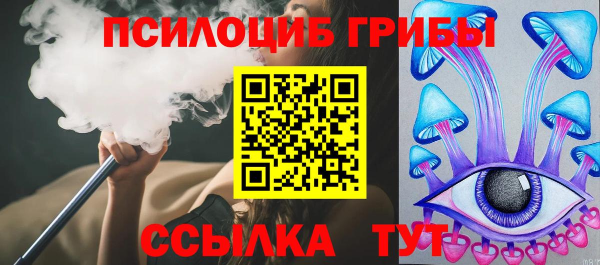 Псилоцибиновые грибы Psilocybe  Вход с VPN  Лангепас 