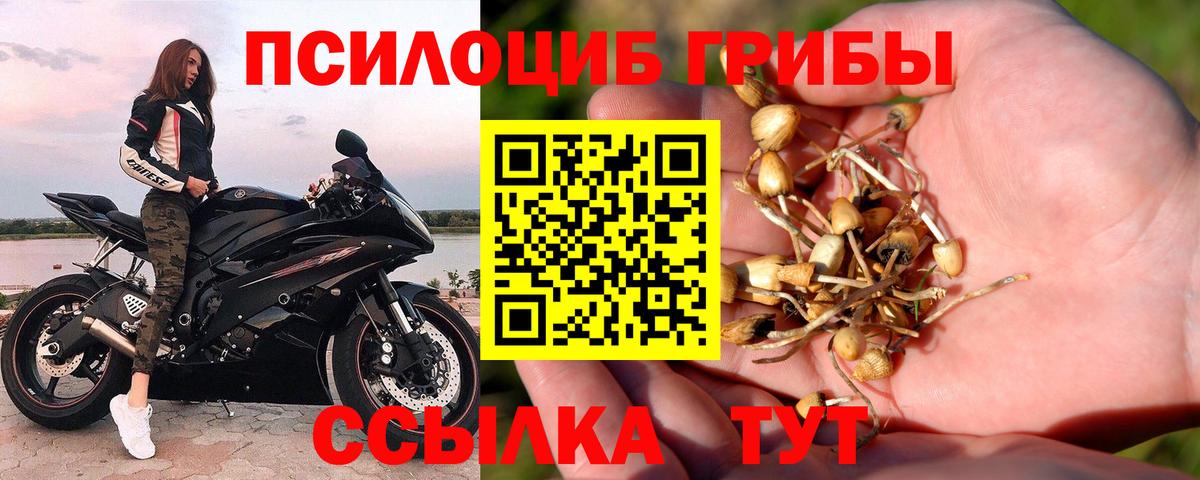 Псилоцибиновые грибы мицелий Лангепас