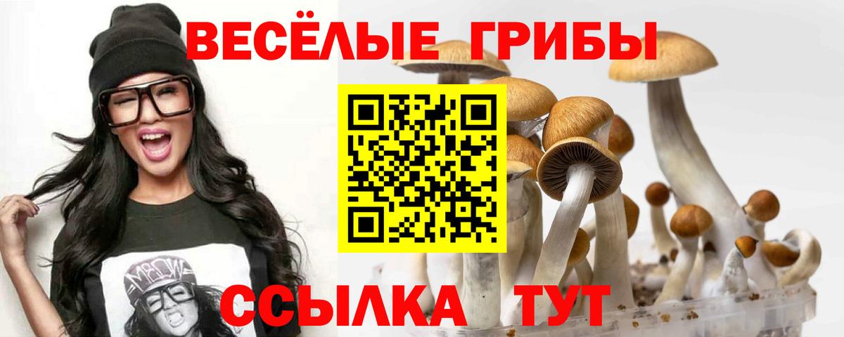 Галлюциногенные грибы MAGIC MUSHROOMS Лангепас